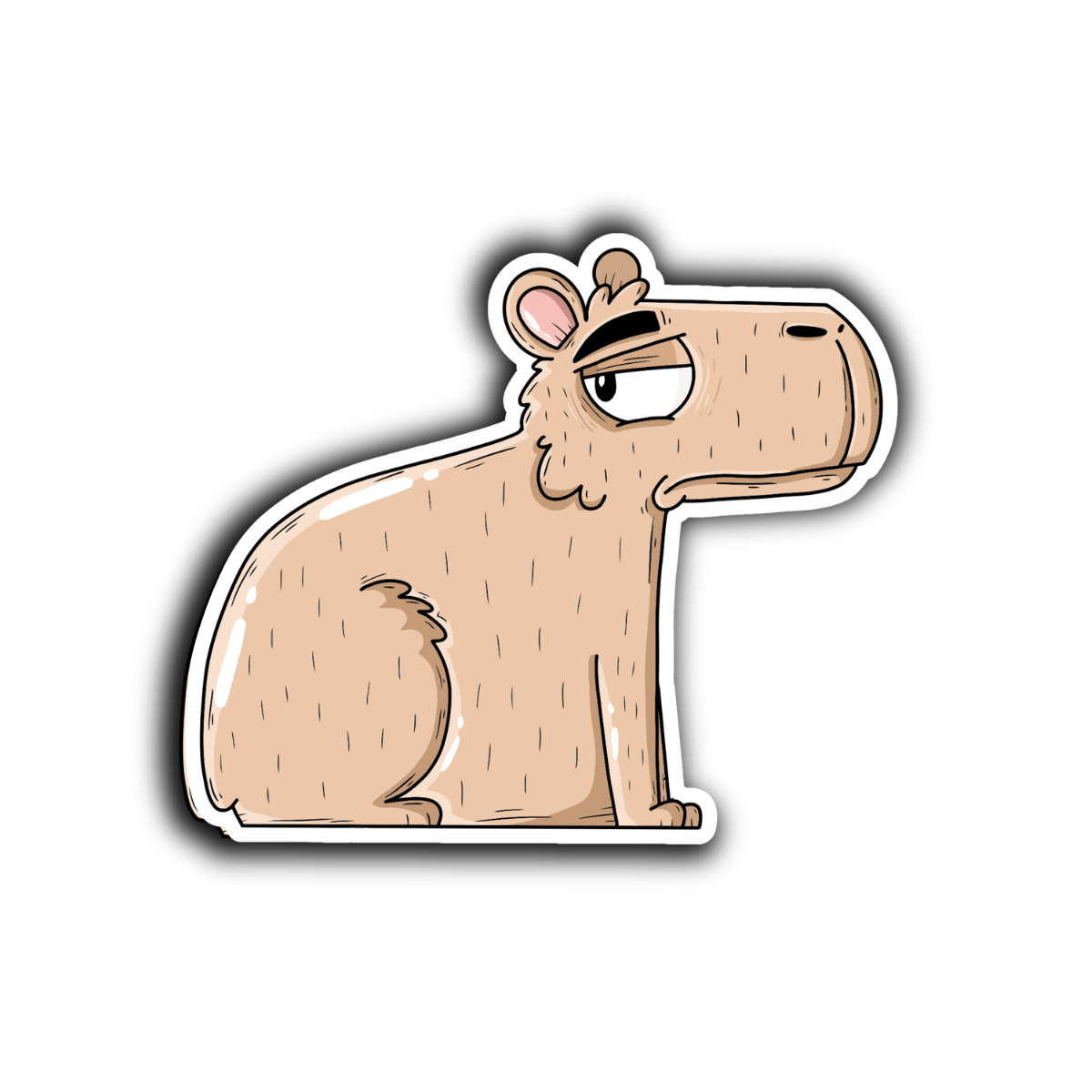 follow us illustration