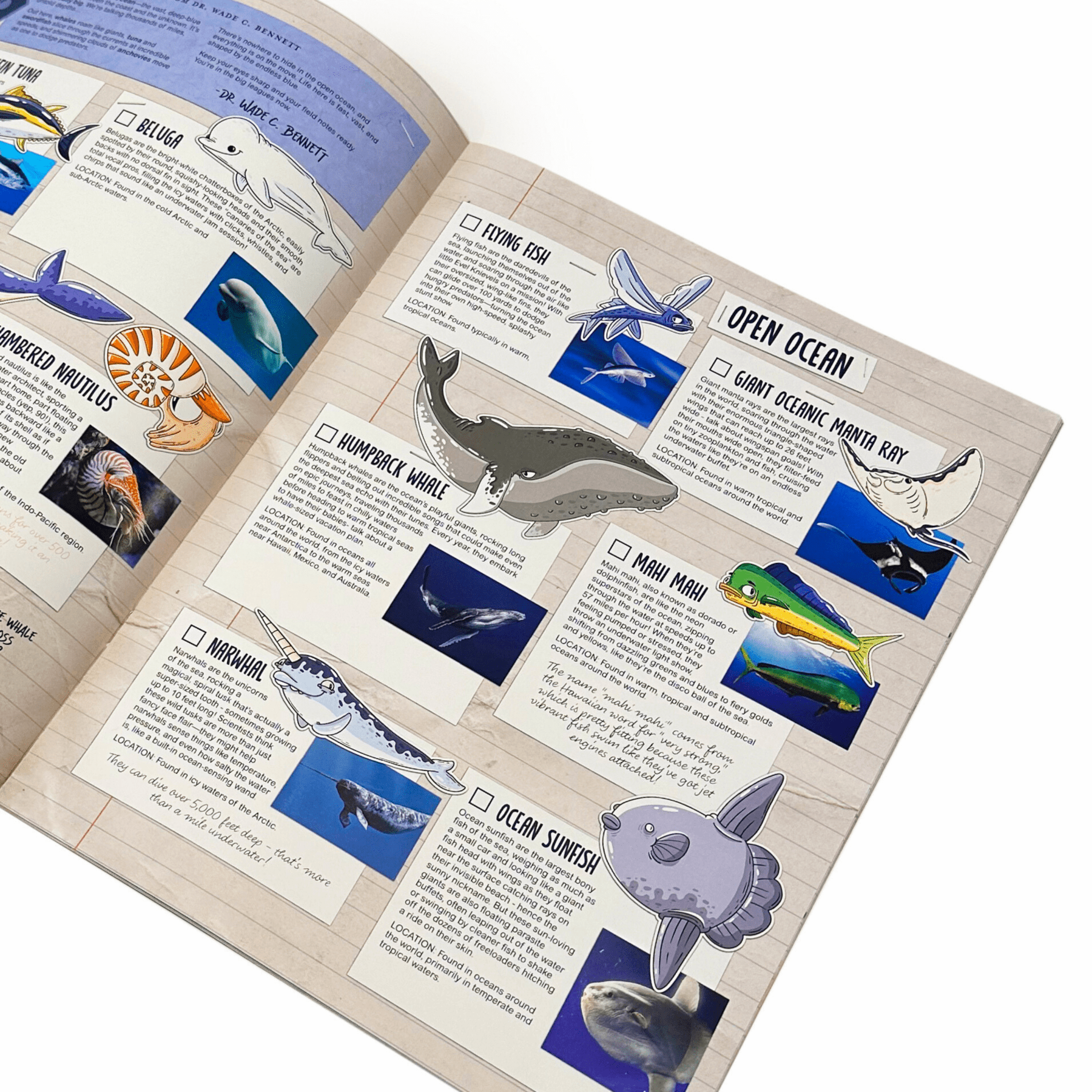 Portland Aquarium Compendium - Mike Bennett Studios