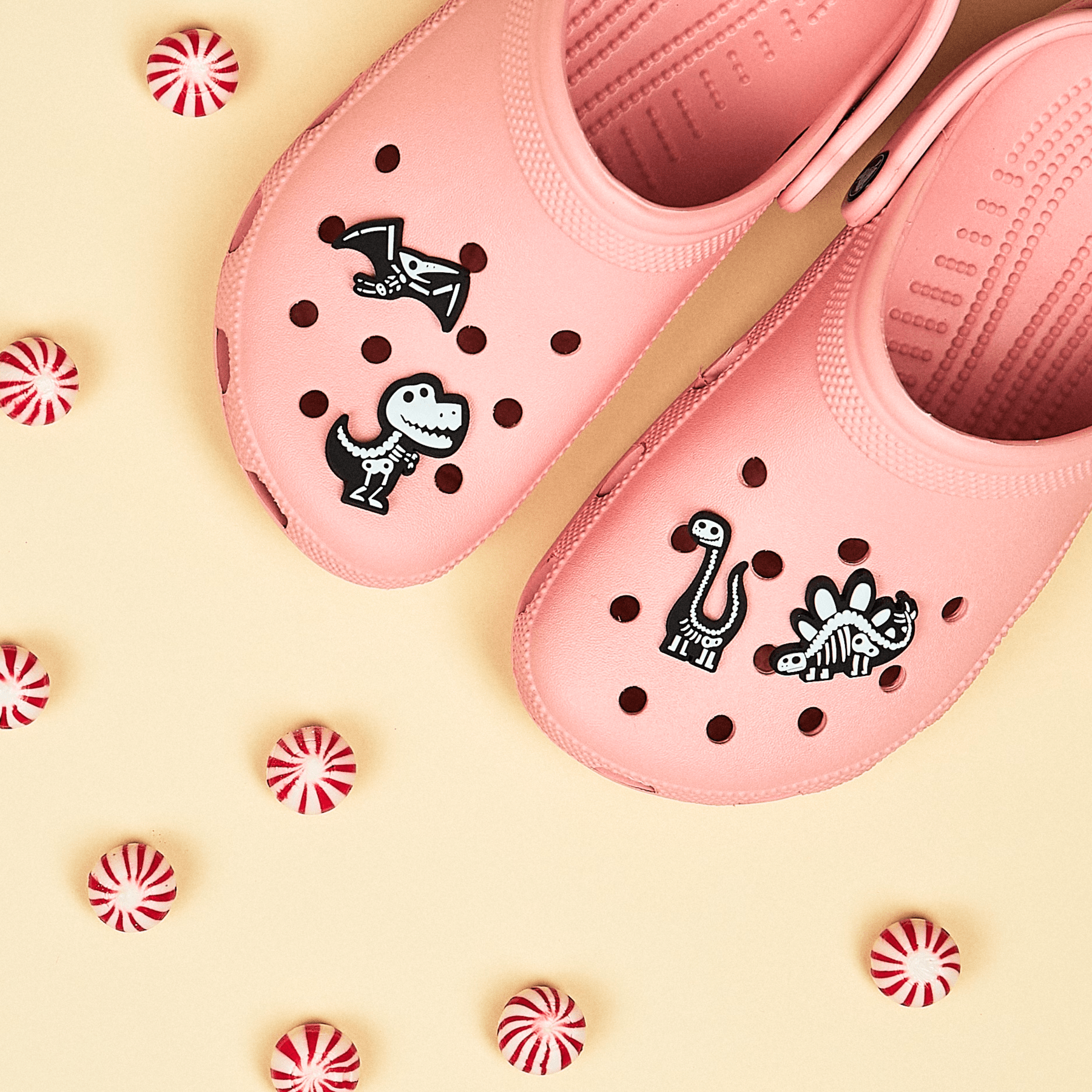 Glow - In - The - Dark Dinosaur Character Charm Set - Mike Bennett Studios