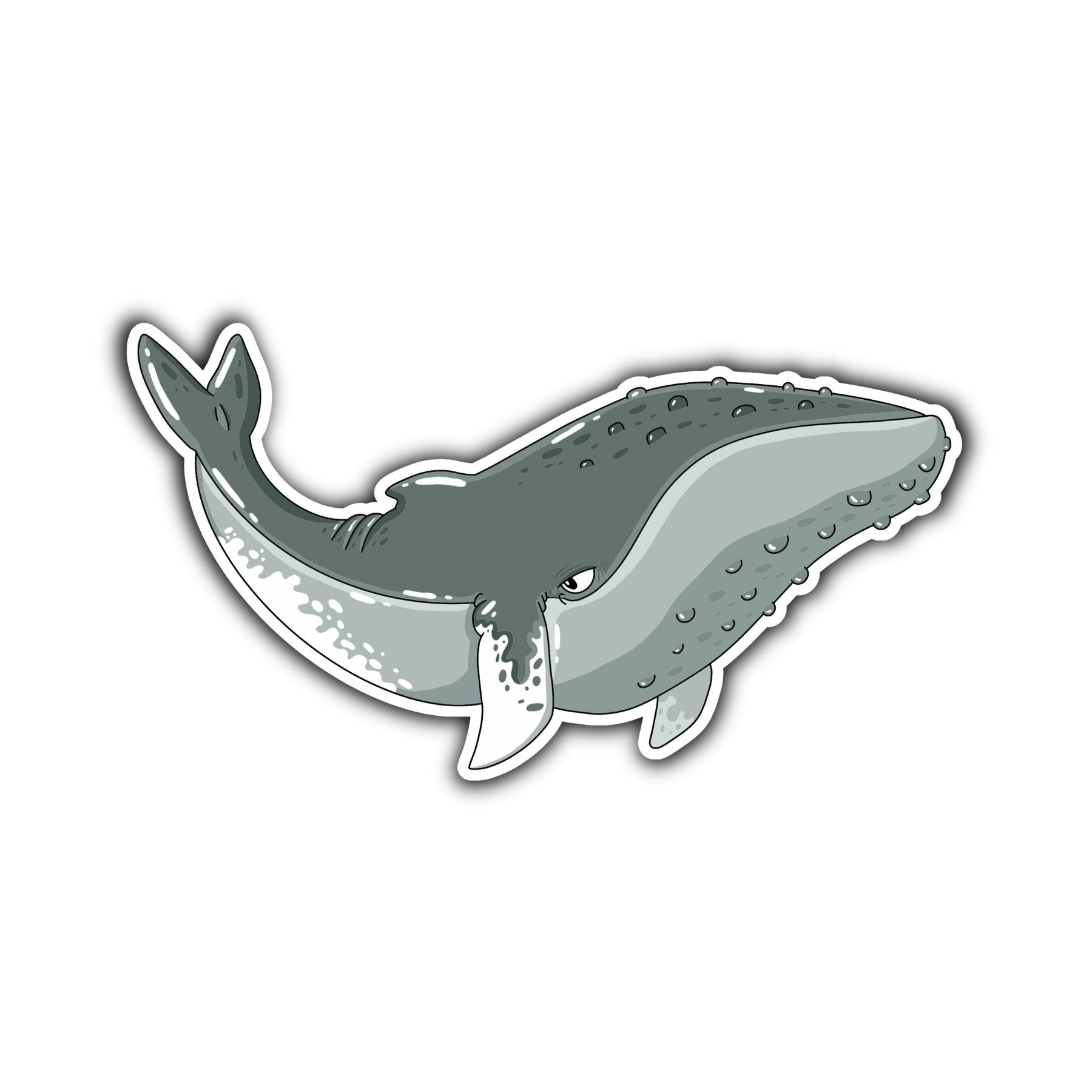 Humpback Whale Sticker - Mike Bennett Studios