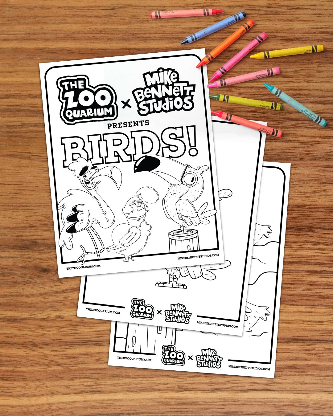 Zooquarium Toucan Coloring Sheets - Mike Bennett Studios