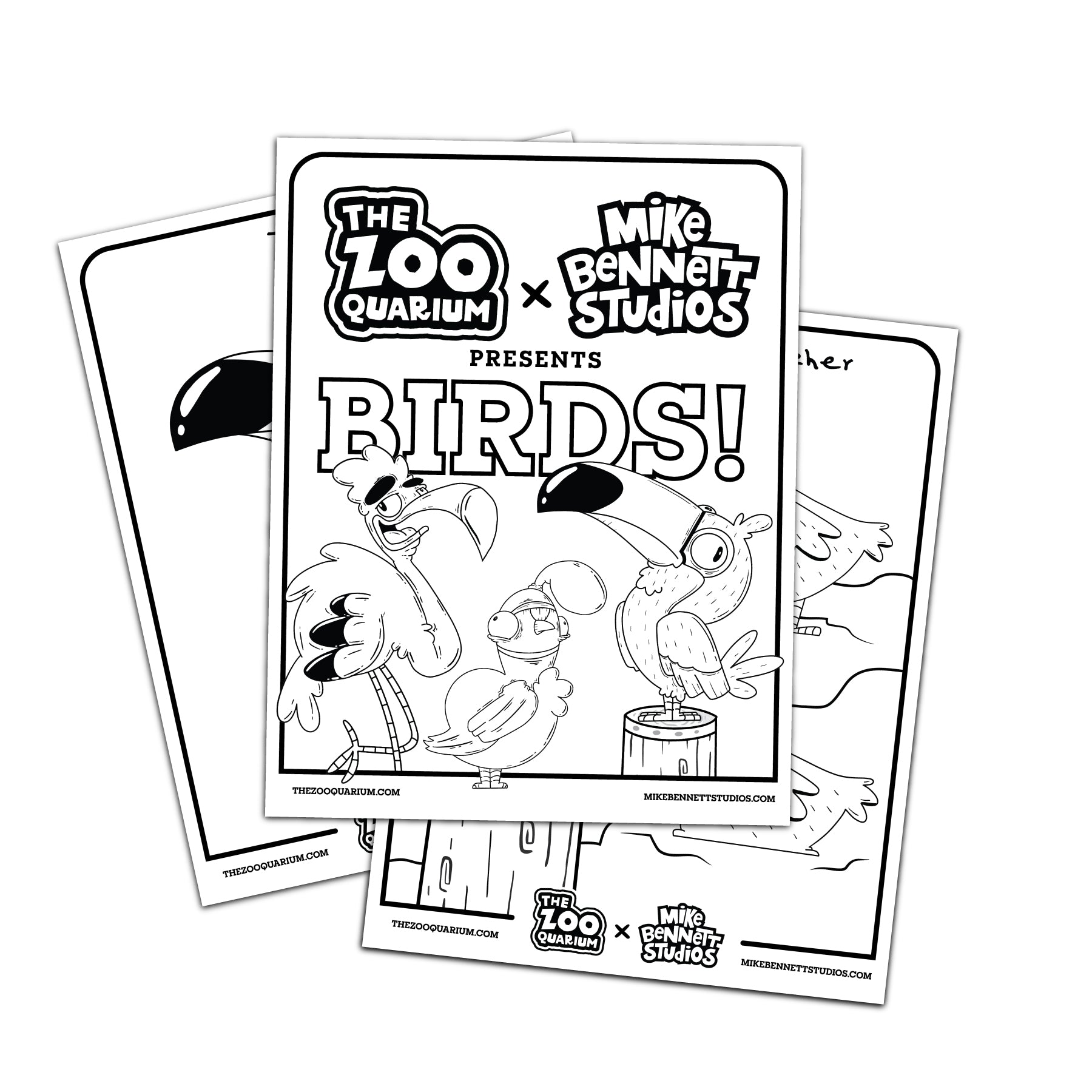 FREE Zooquarium Birds Coloring Sheets - primary