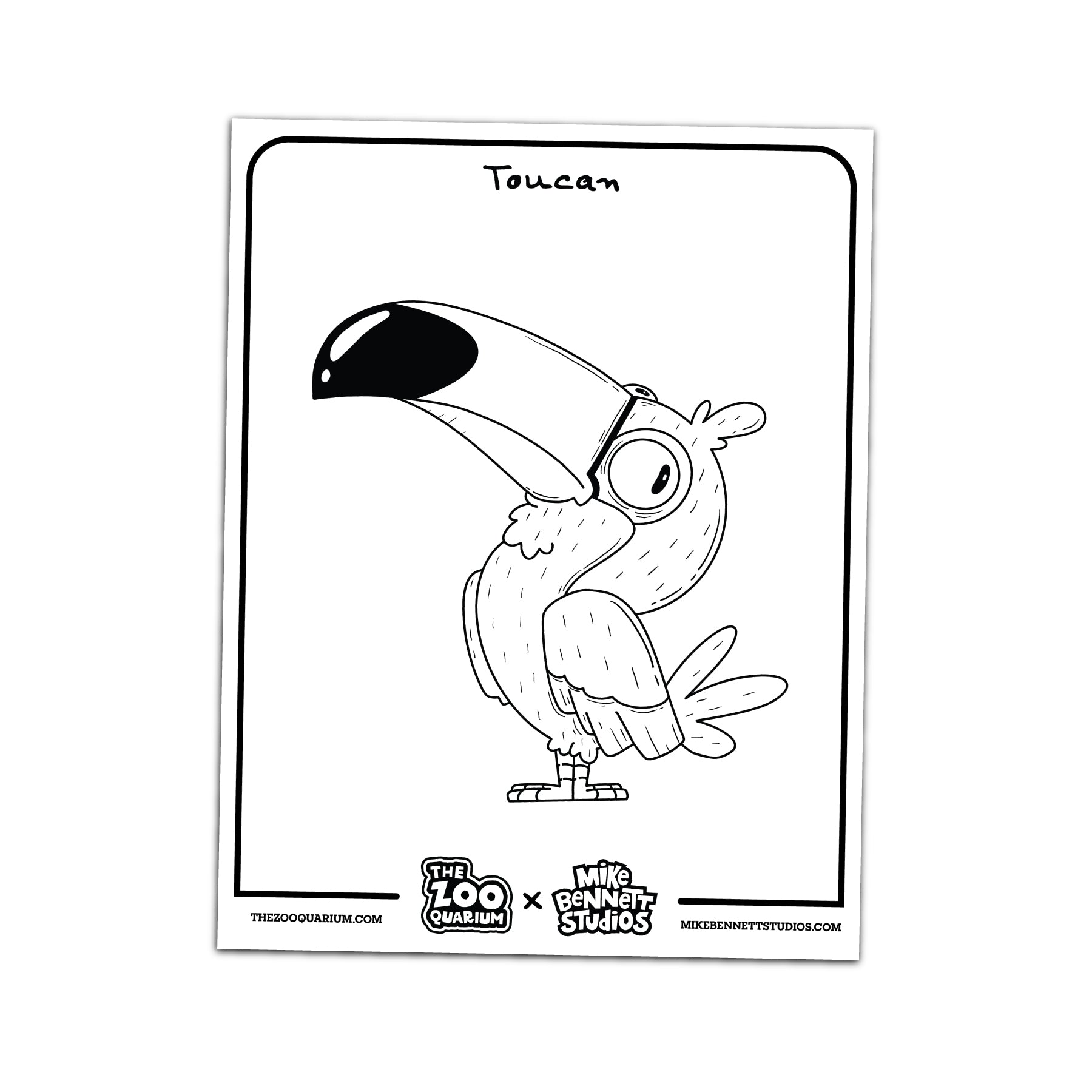 FREE Zooquarium Birds Coloring Sheets - alternate