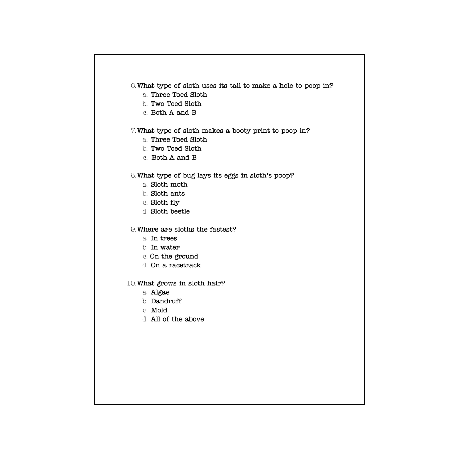Zooquarium Sloth Quiz - Mike Bennett Studios