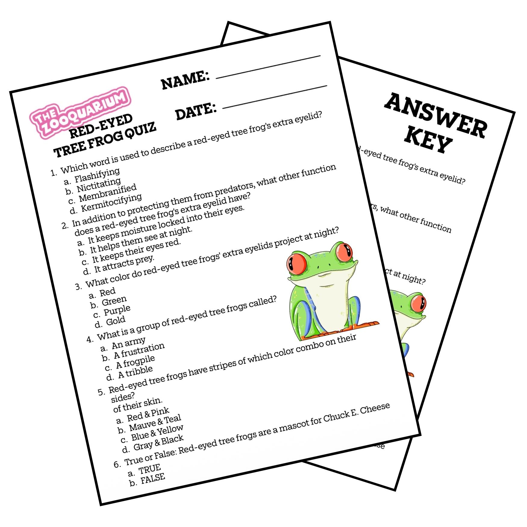 Zooquarium Episode 12: Red-Eyed Tree Frog Quiz