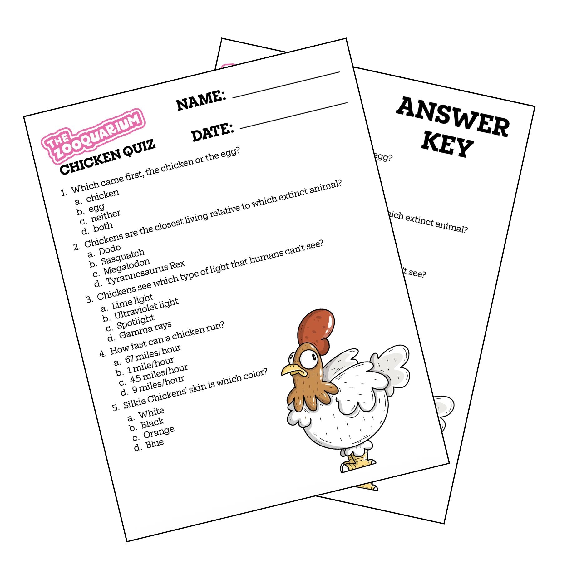 Zooquarium Episode 8: Chickens Quiz - Mike Bennett Studios