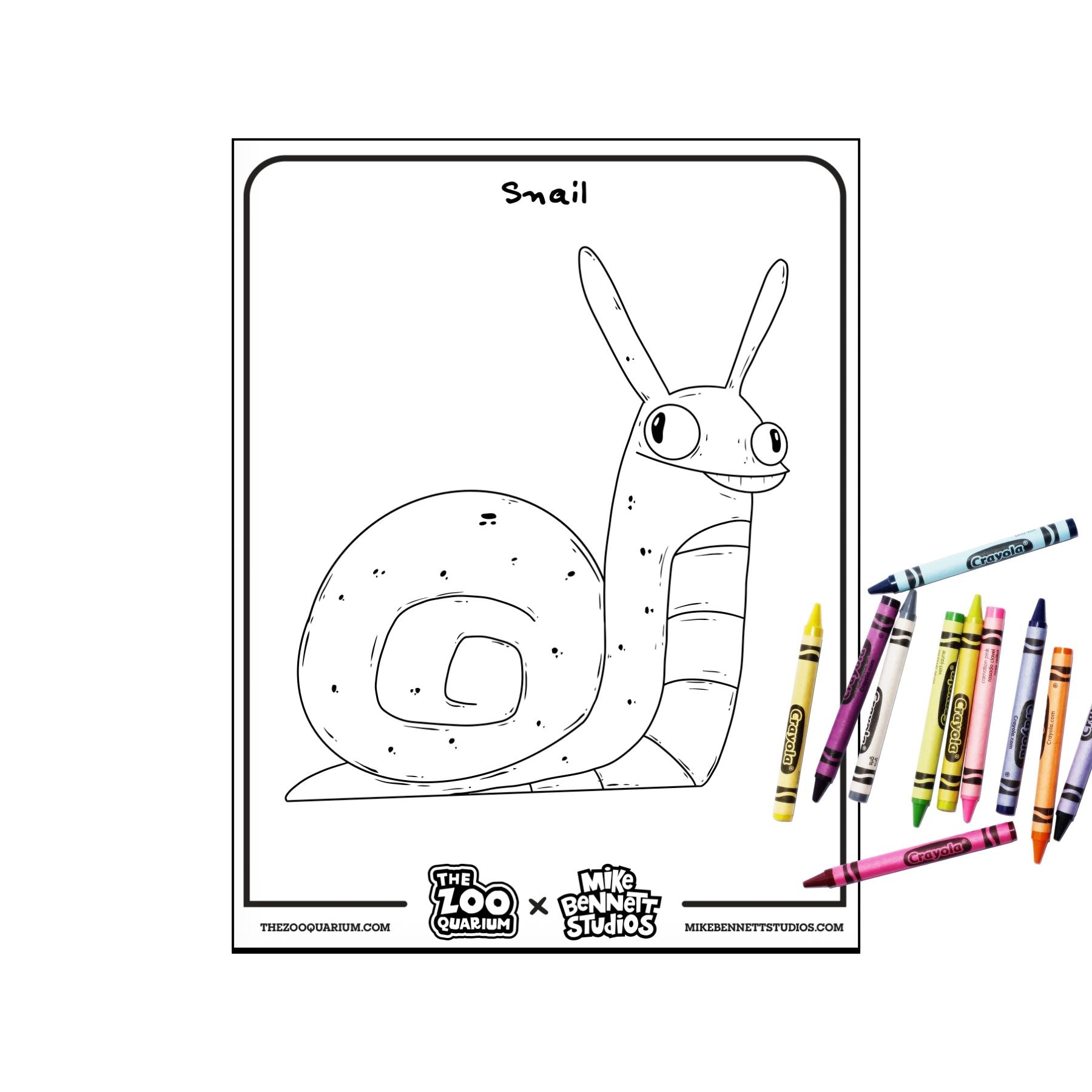 FREE Zooquarium Bugs Coloring Sheets - Mike Bennett Studios