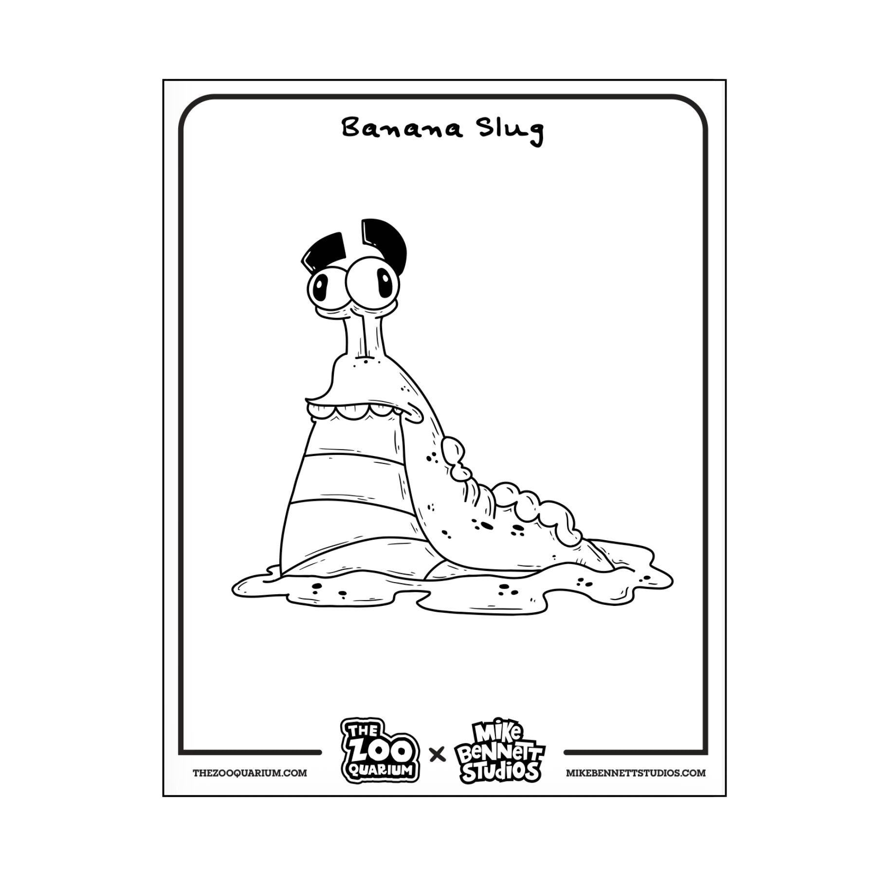 FREE Zooquarium Bugs Coloring Sheets - Mike Bennett Studios