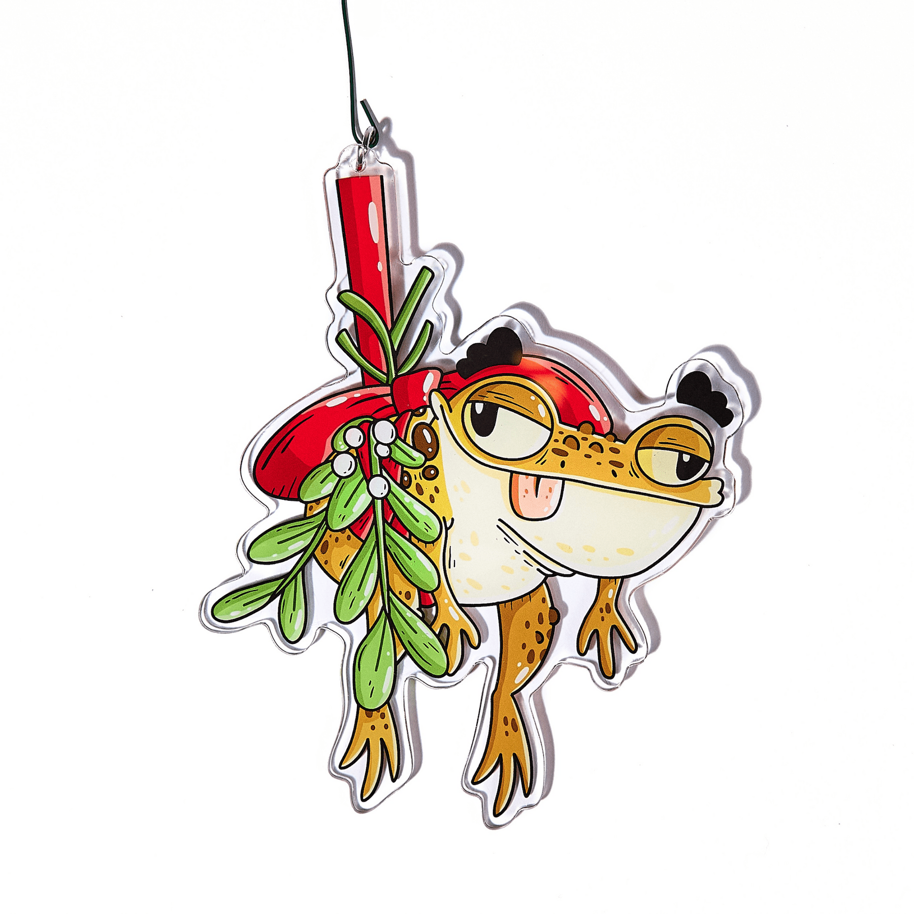 Brown Mistletoad - primary