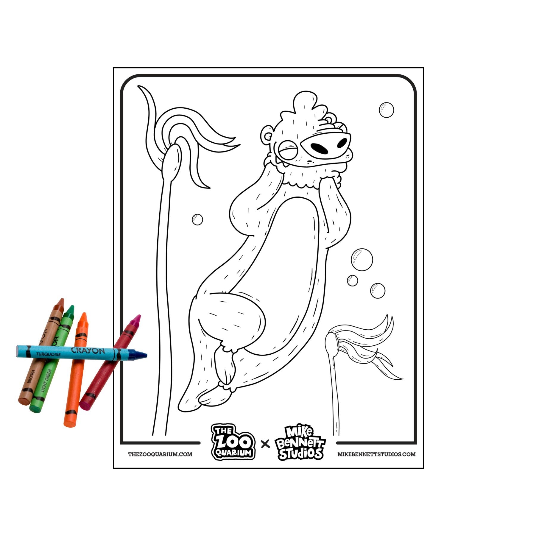 Zooquarium Otter Coloring Sheets - Mike Bennett Studios