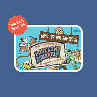 Sale on Summer Passes