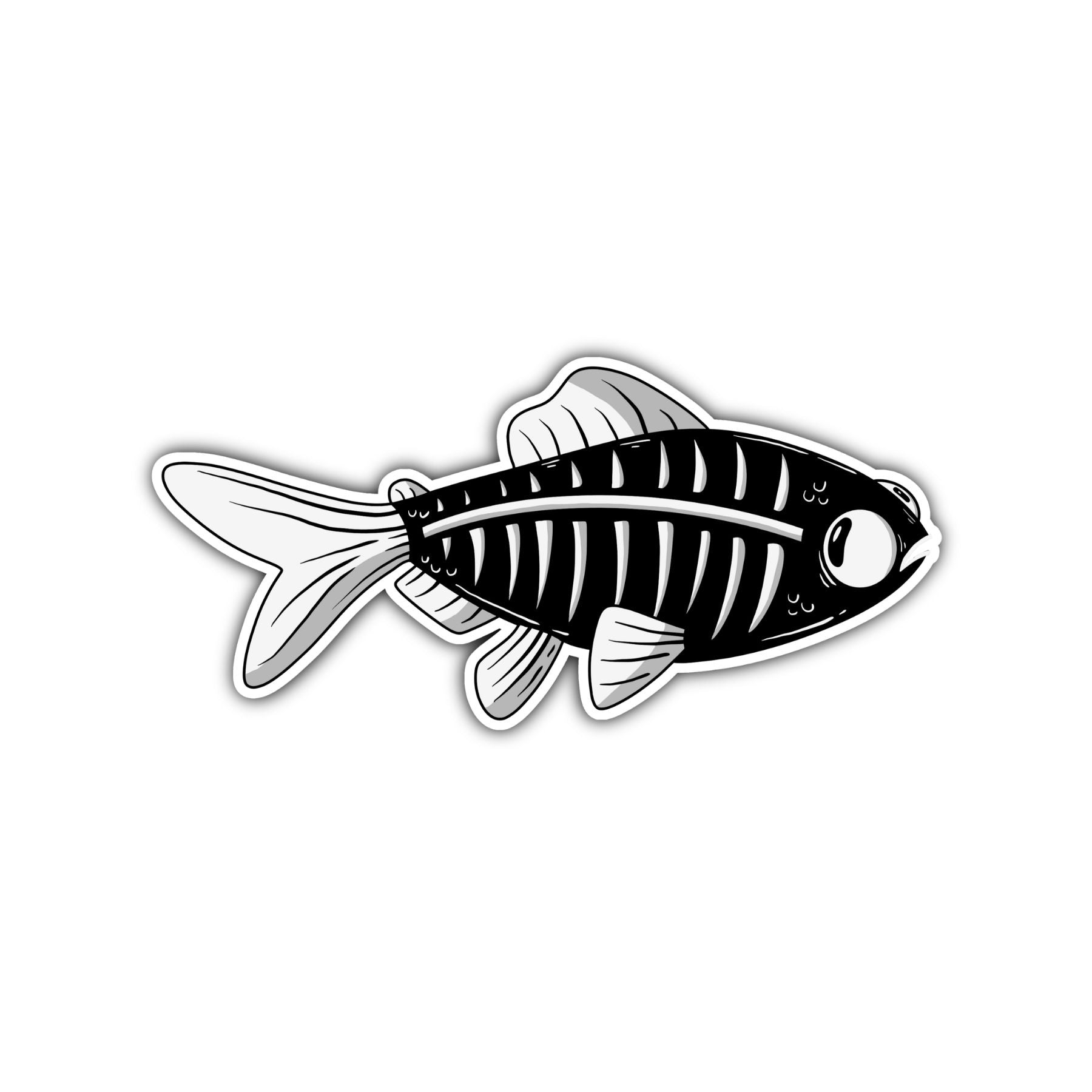 X - Ray Tetra Sticker - Mike Bennett Studios