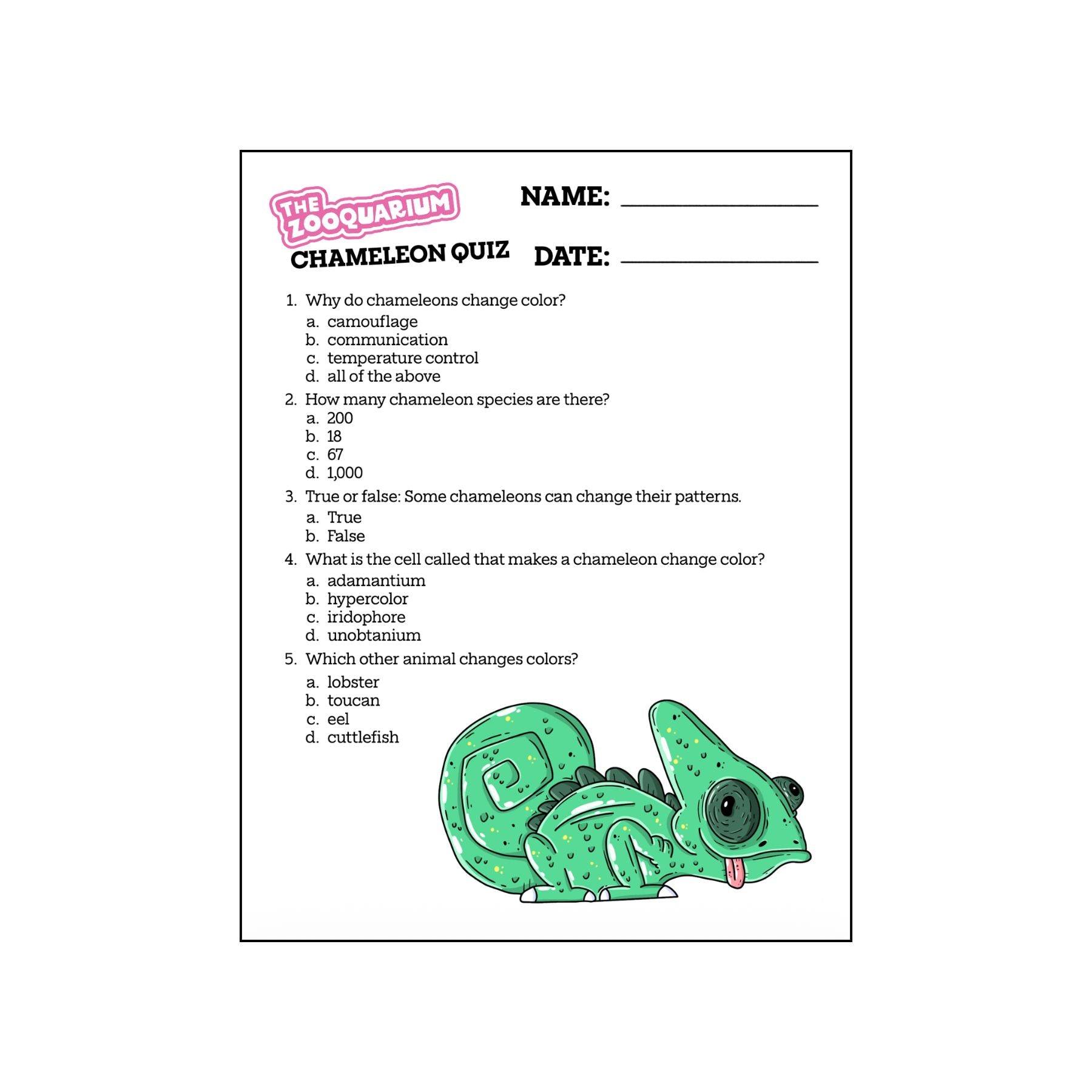 Zooquarium Episode 7: Chameleons Quiz - Mike Bennett Studios