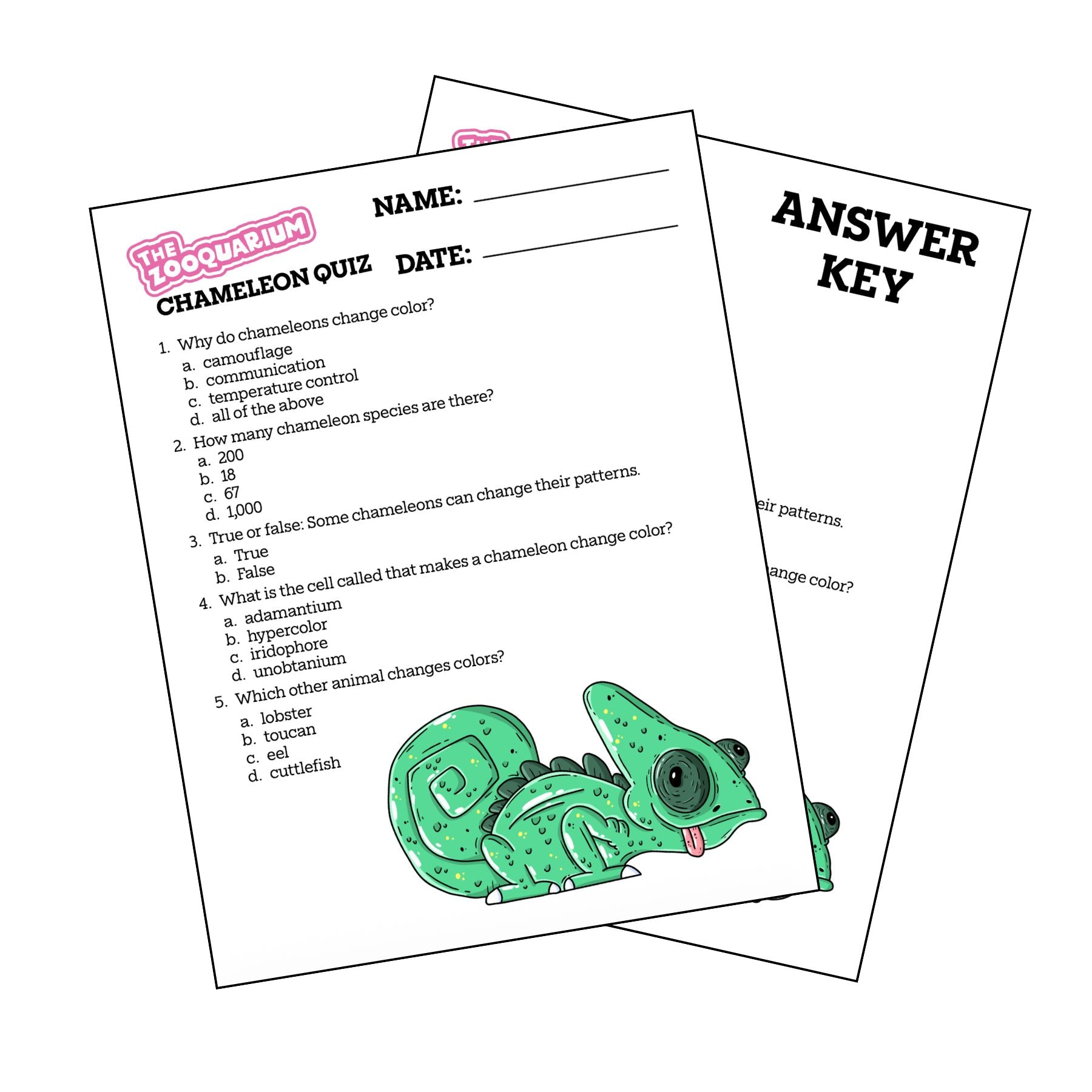 Zooquarium Episode 7: Chameleons Quiz - Mike Bennett Studios