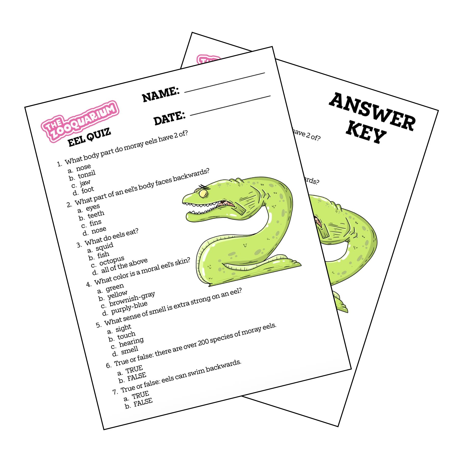 Zooquarium Episode 6: Eels Quiz - Mike Bennett Studios