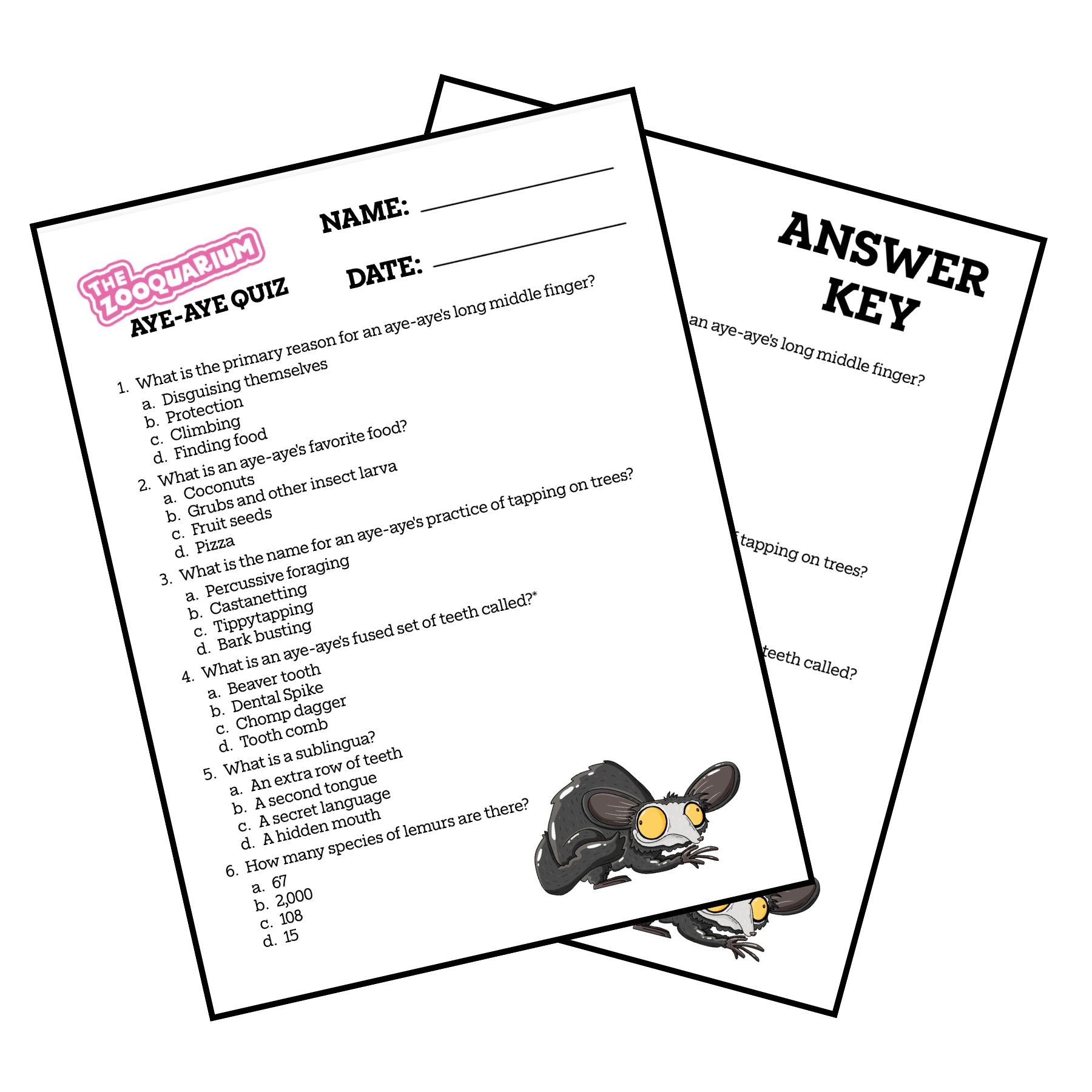 Zooquarium Episode 13: Aye-Aye Quiz - Mike Bennett Studios
