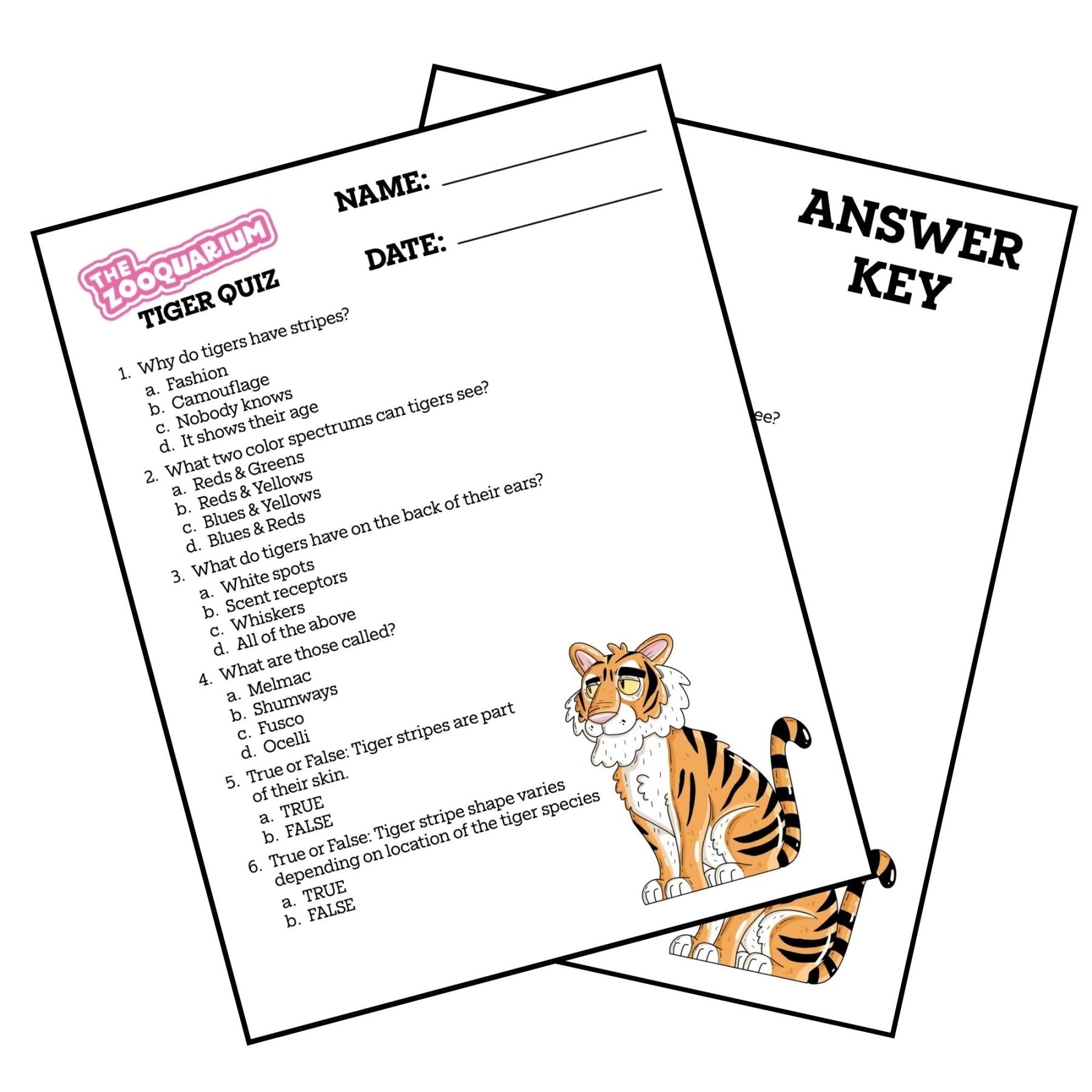 Zooquarium Episode 11: Tigers Quiz - Mike Bennett Studios